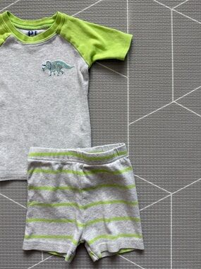 Gray & Lime Dinosaur Toddler Pajama Set